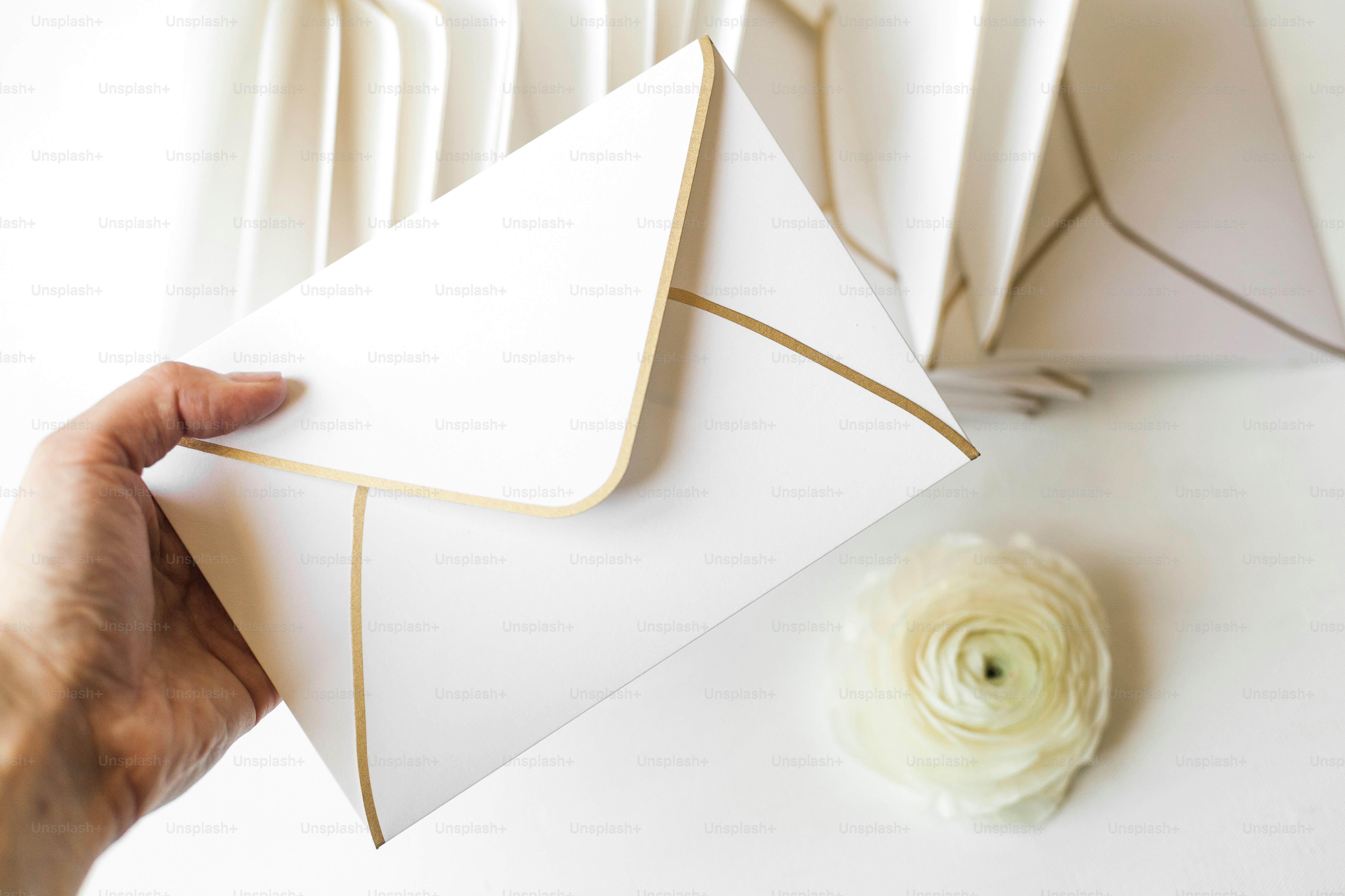 a hand holding a piece of paper next to a flower