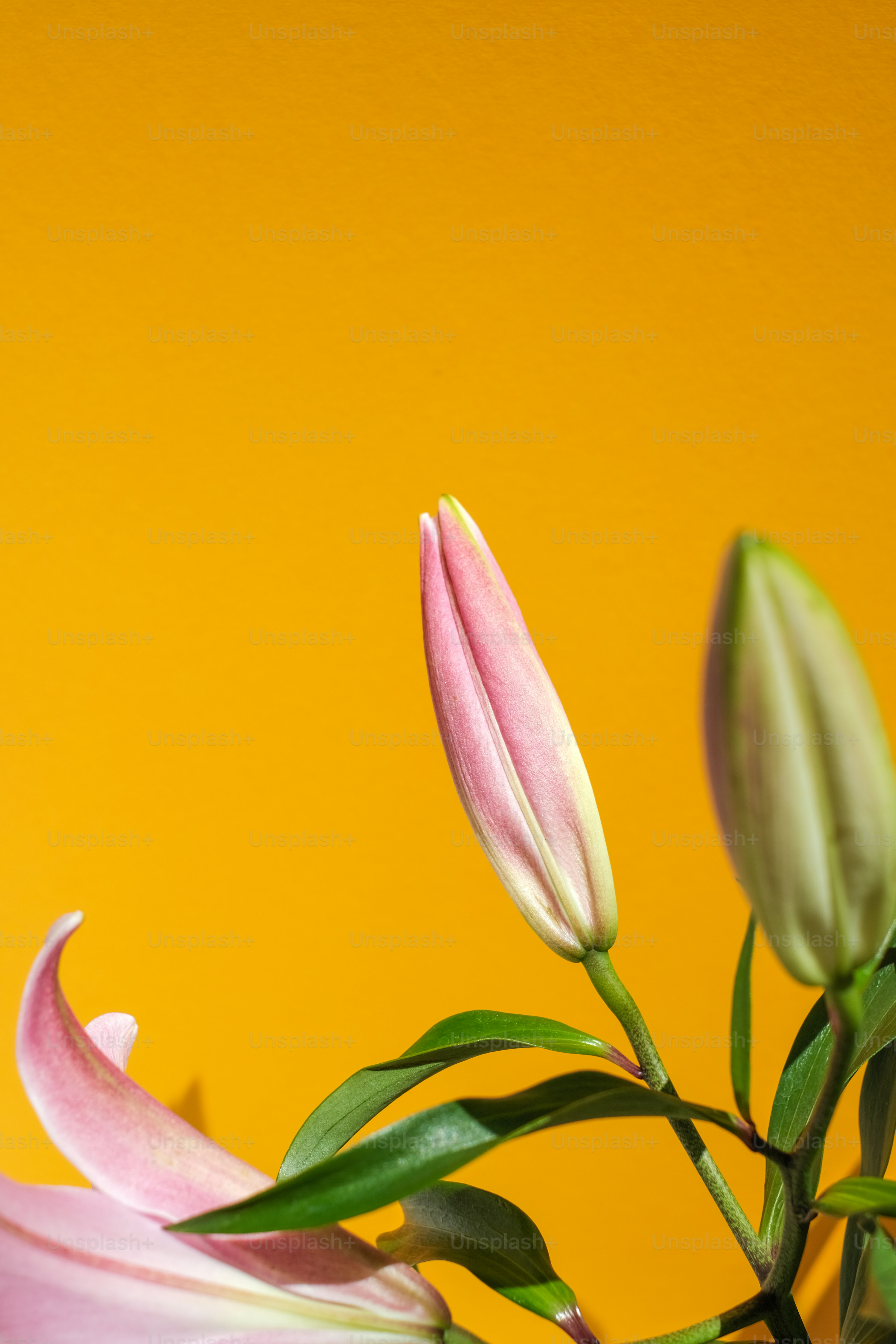 a close up of a vase with flowers on a table