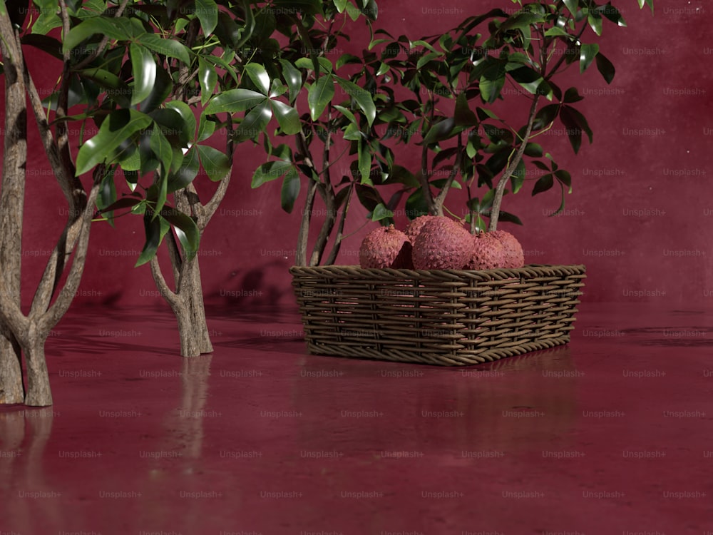 a basket of fruit sitting next to a tree