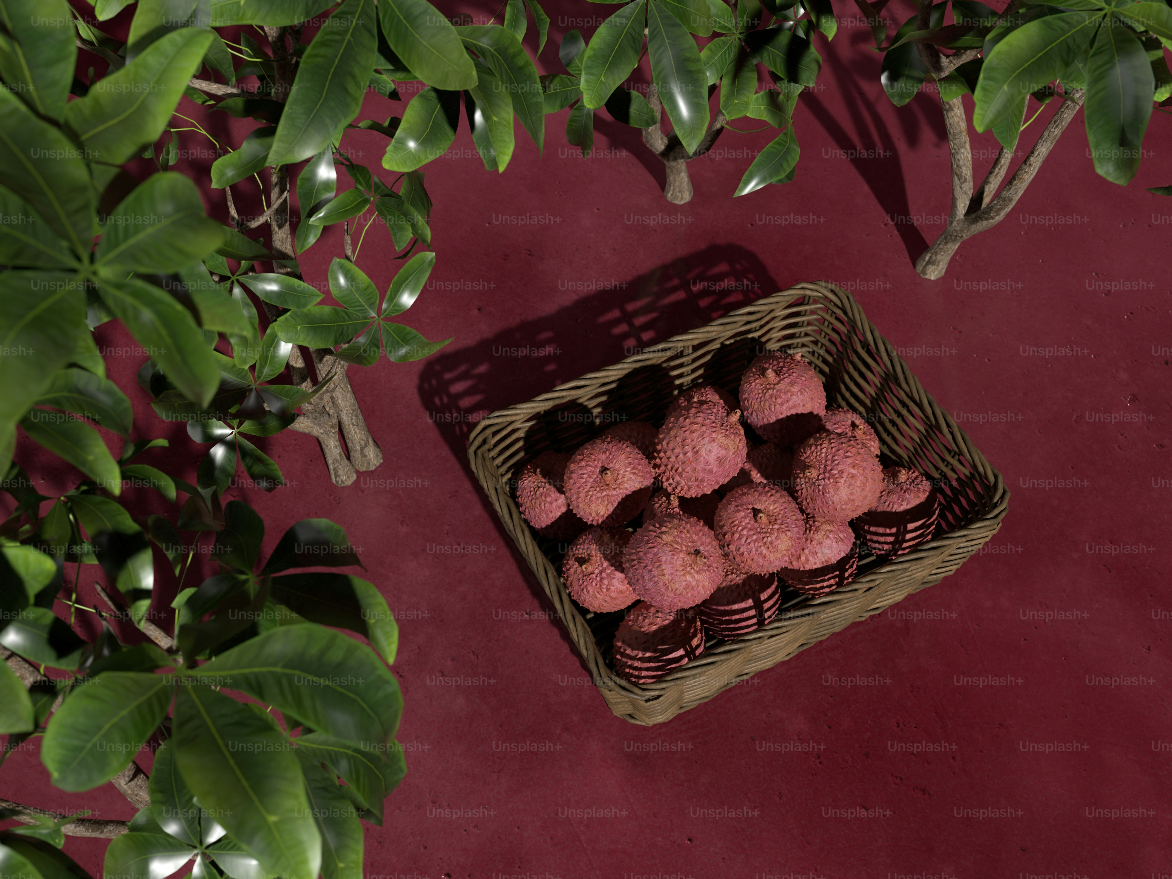 a basket of donuts sitting next to a tree