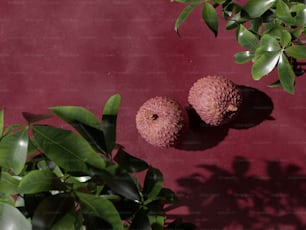 a couple of fruits sitting on top of a table