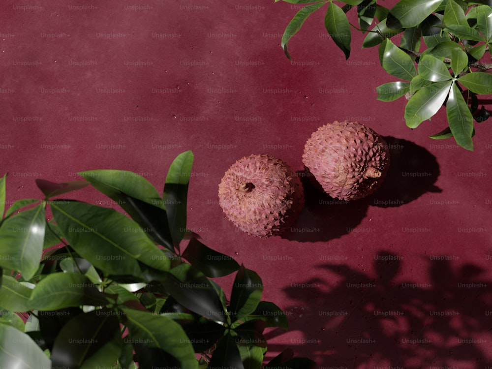 a couple of fruits sitting on top of a table