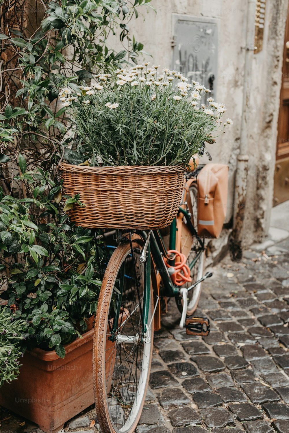 a bicycle with a basket full of flowers