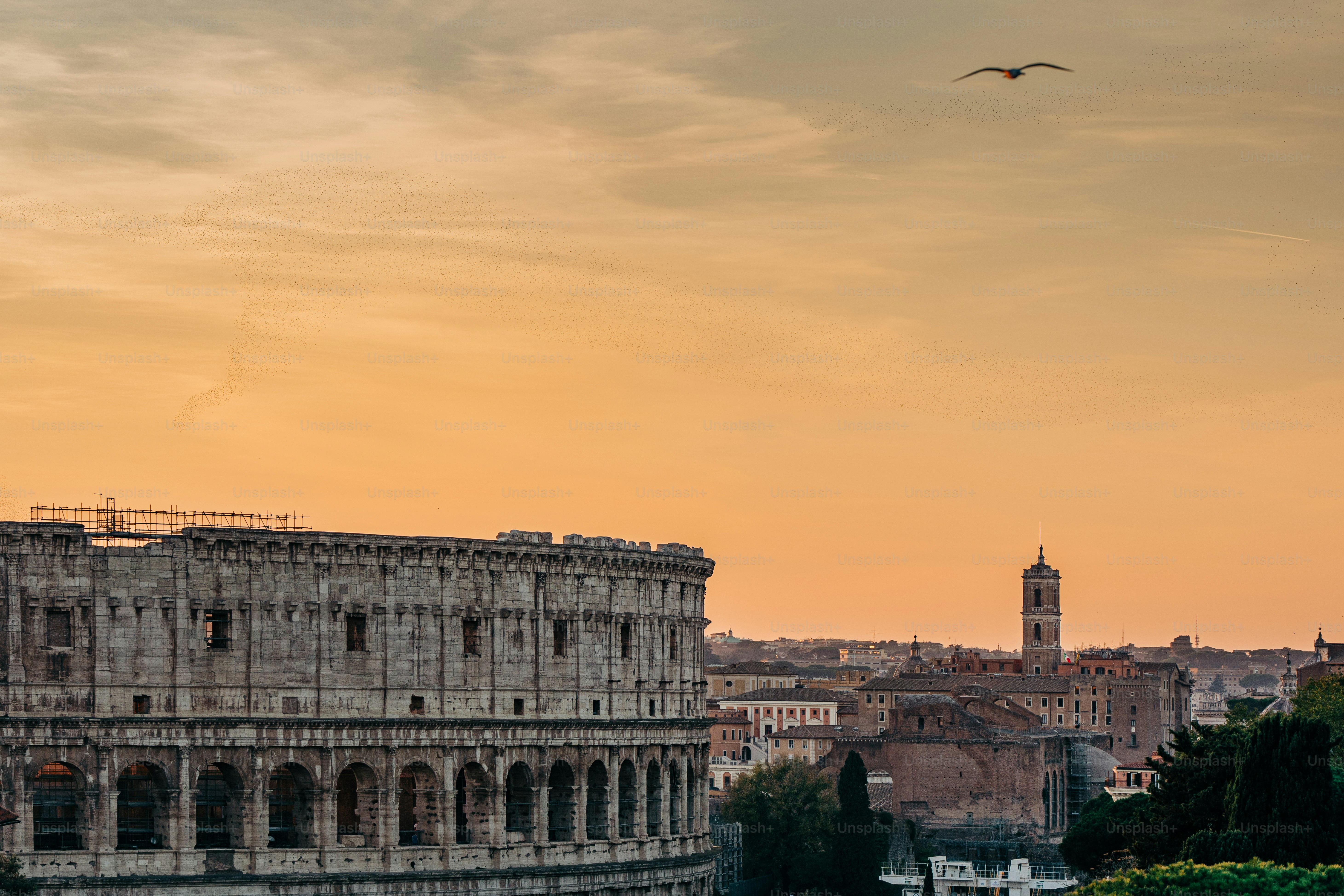 a bird flying over a city at sunset