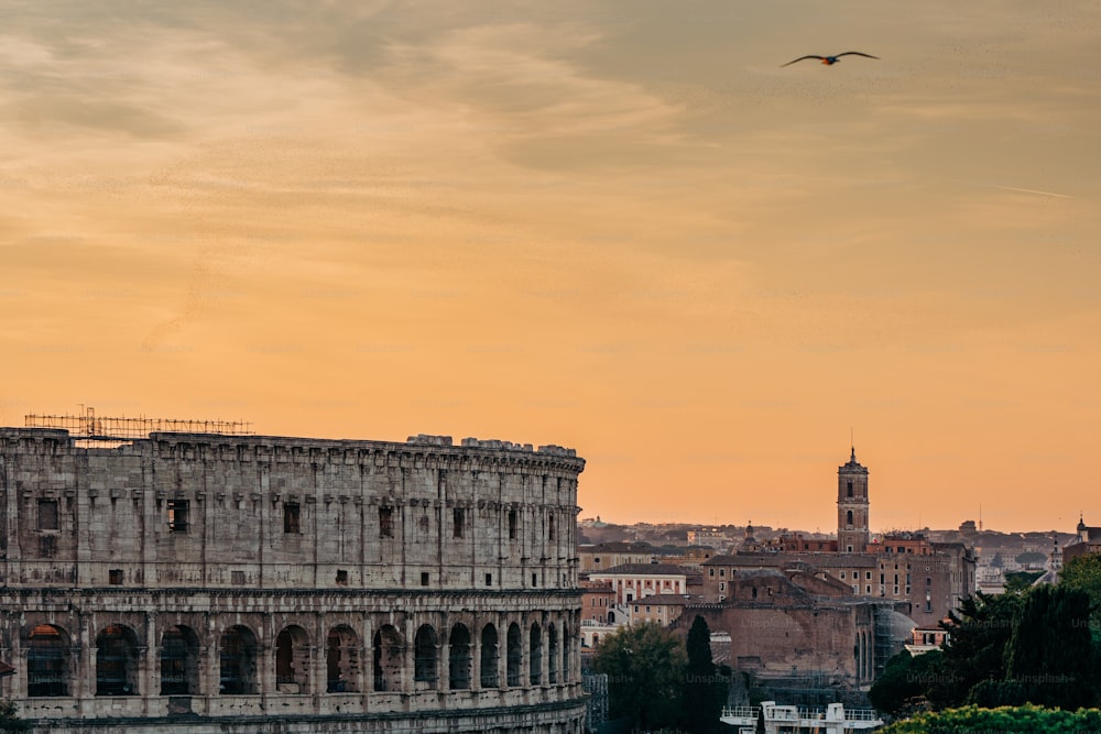 a bird flying over a city at sunset