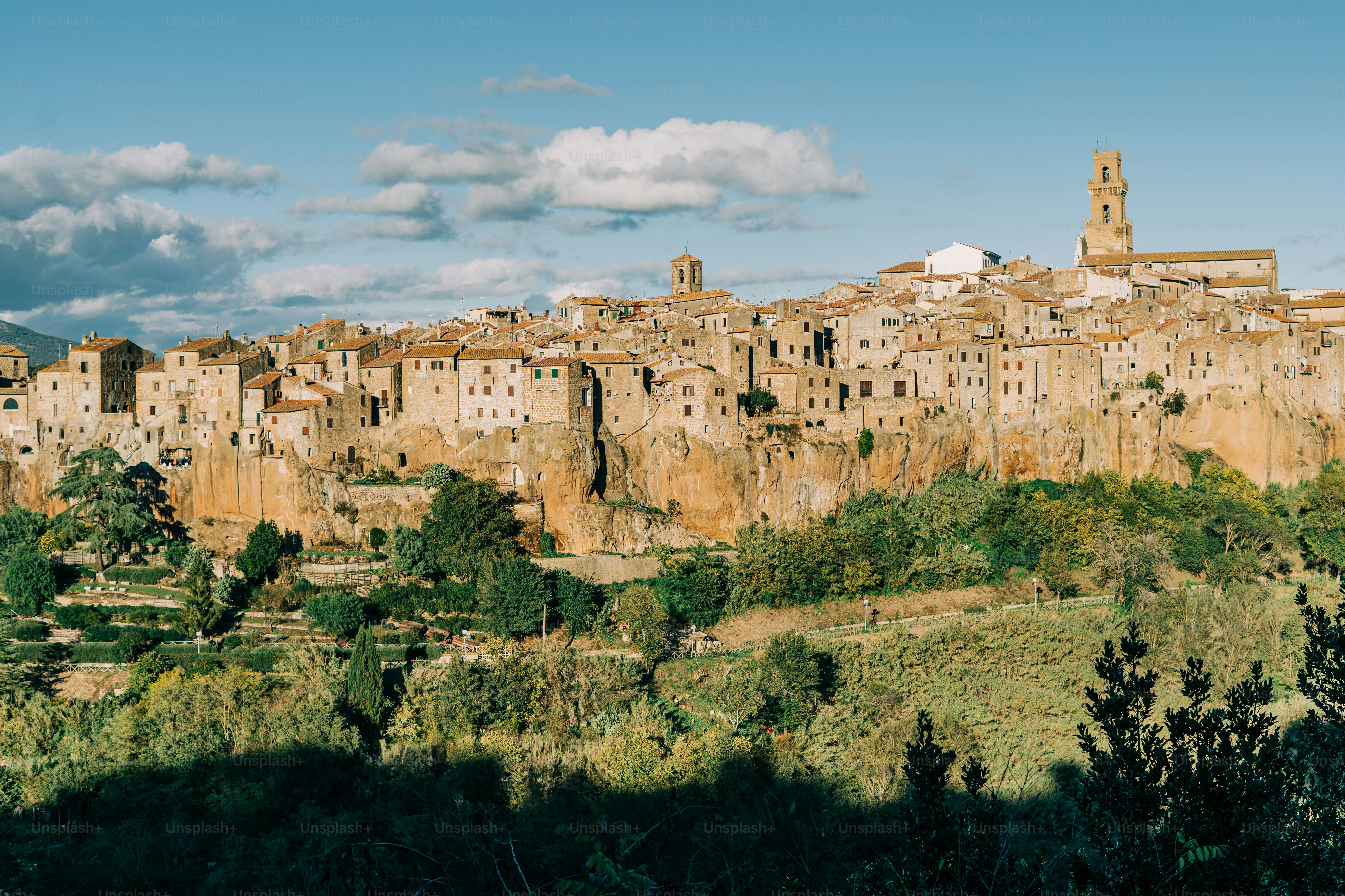 a village on a hill surrounded by trees