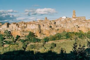 a village on a hill surrounded by trees