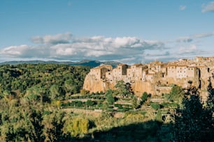 a village nestled on a hill surrounded by trees