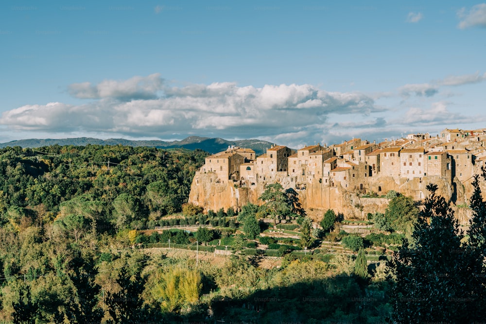 a village nestled on a hill surrounded by trees