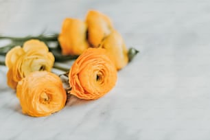 Ein Strauß orangefarbener Blumen sitzt auf einem weißen Tisch
