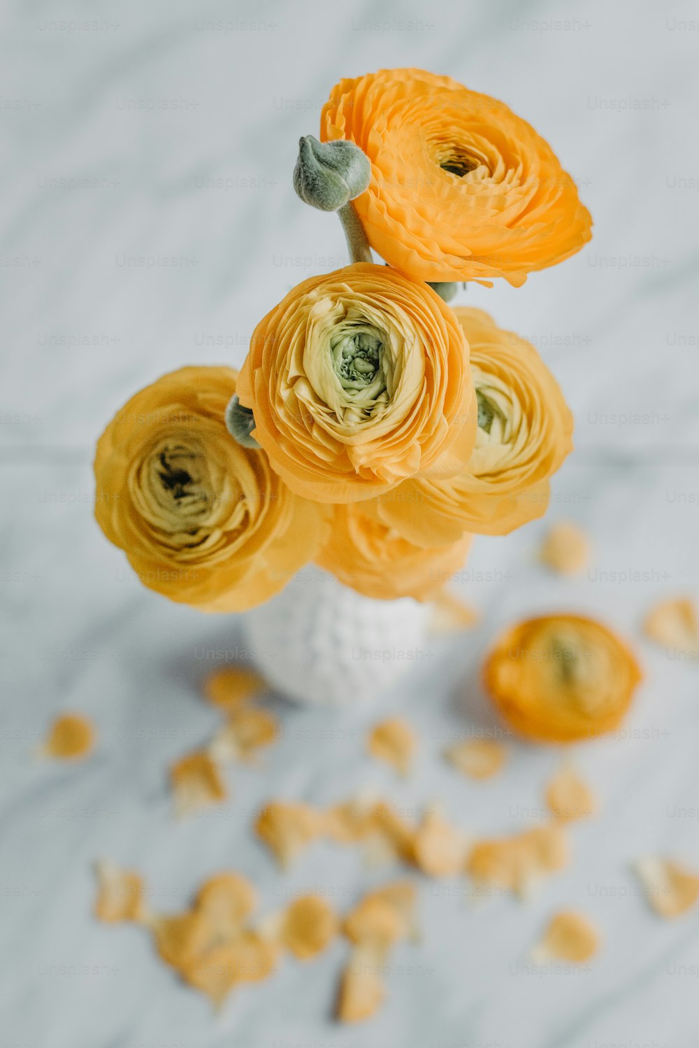 un vaso bianco pieno di fiori gialli sopra un tavolo