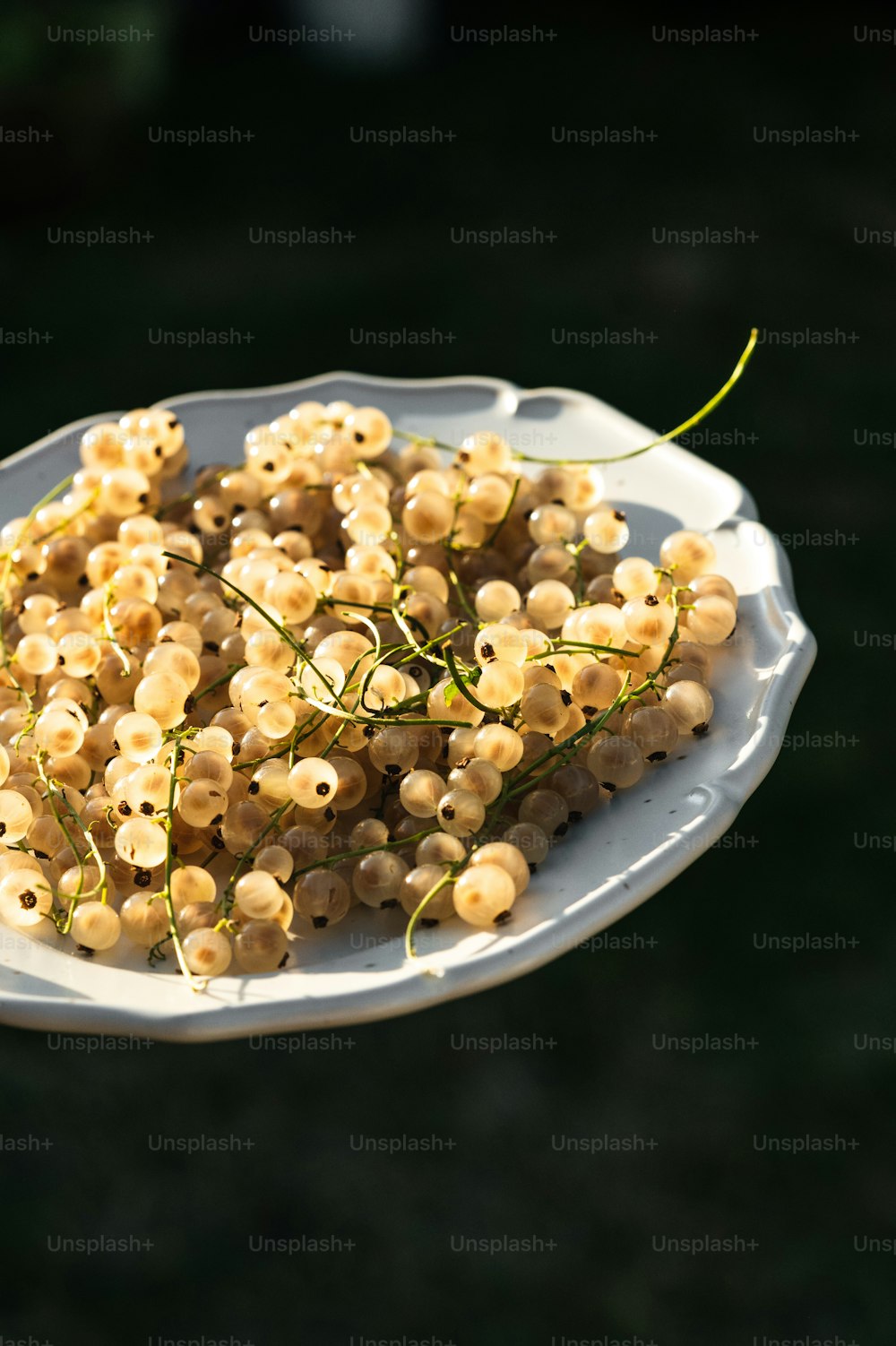 a white plate topped with lots of food on top of a table