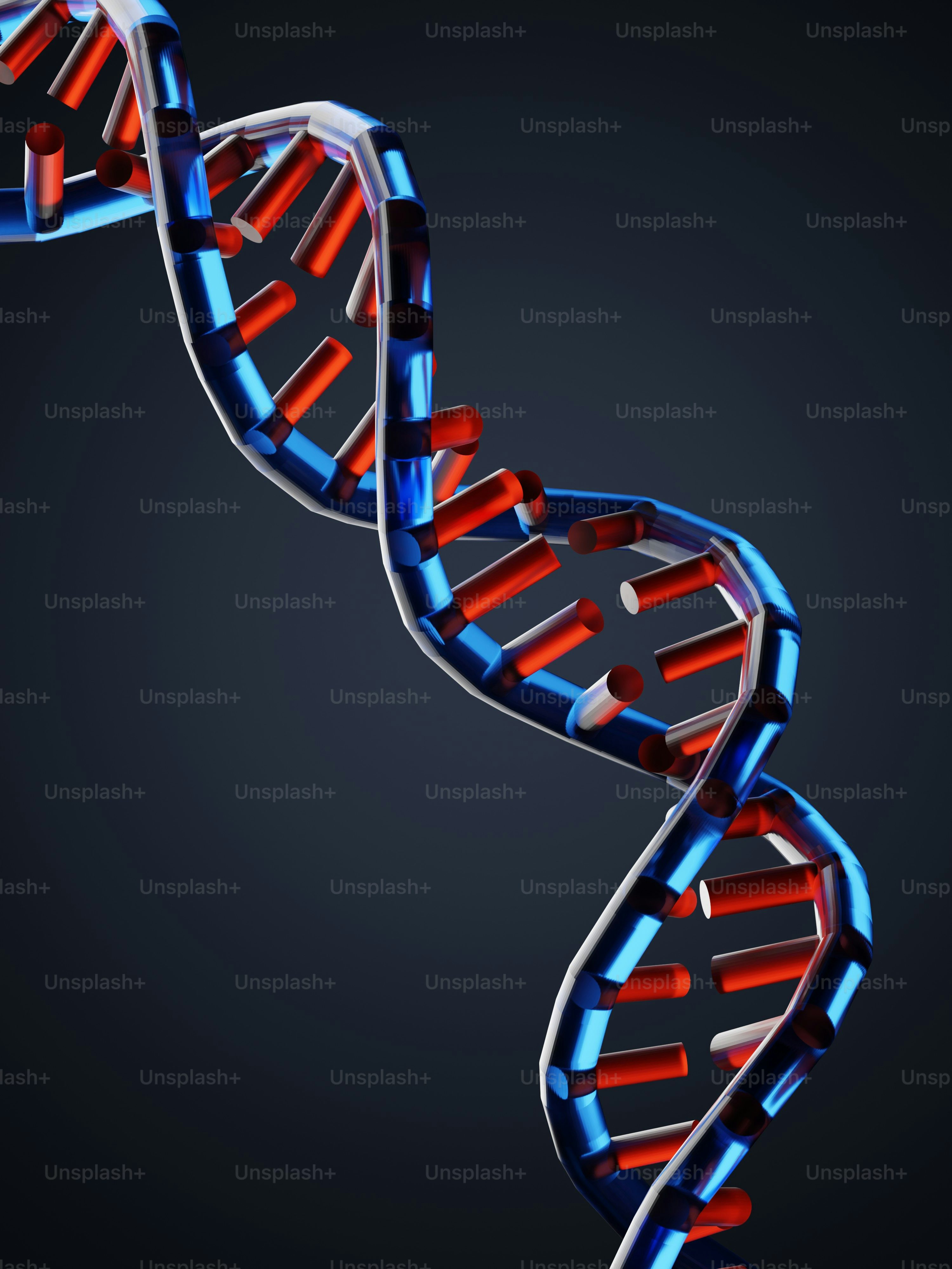 a 3d rendering of a double - strand of red and blue strands