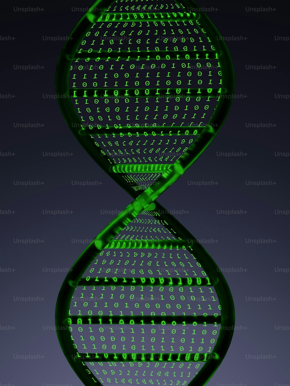 Un modello verde a doppio filamento di una cellula umana