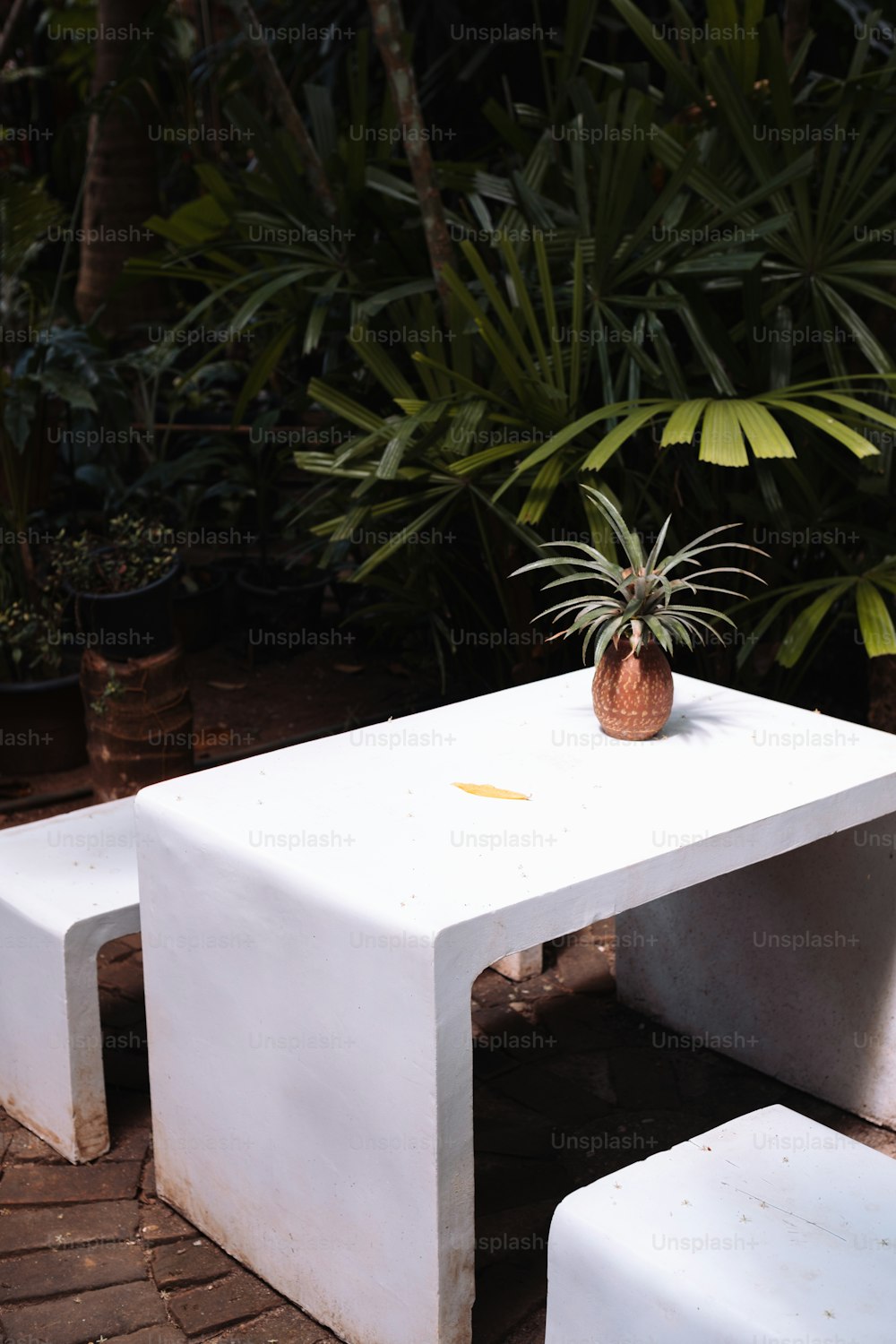 uma mesa branca com um vaso de planta em cima dela