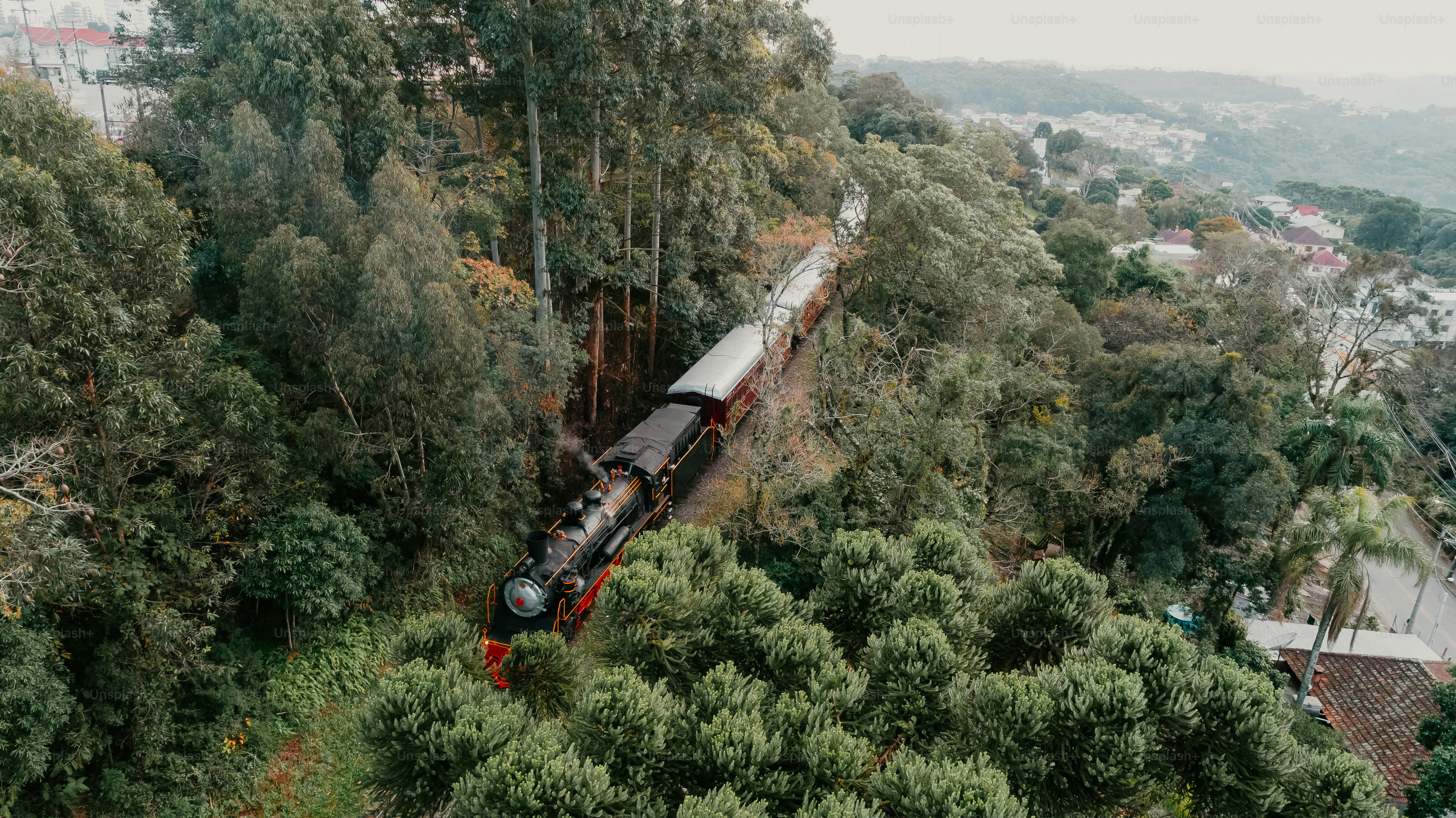train du kenia dans la savane