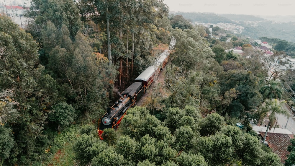 a train traveling through a lush green forest