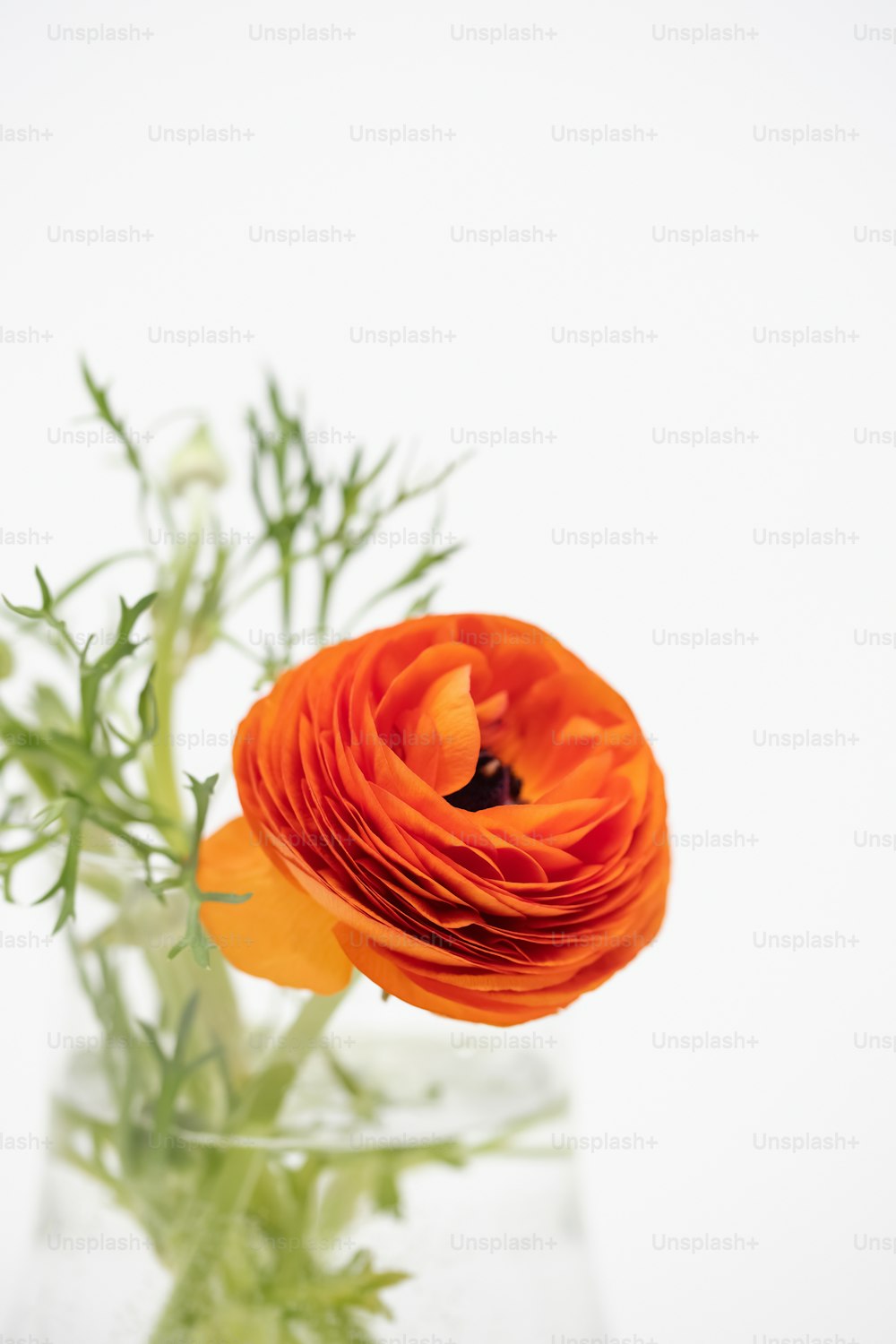 an orange flower is in a clear vase