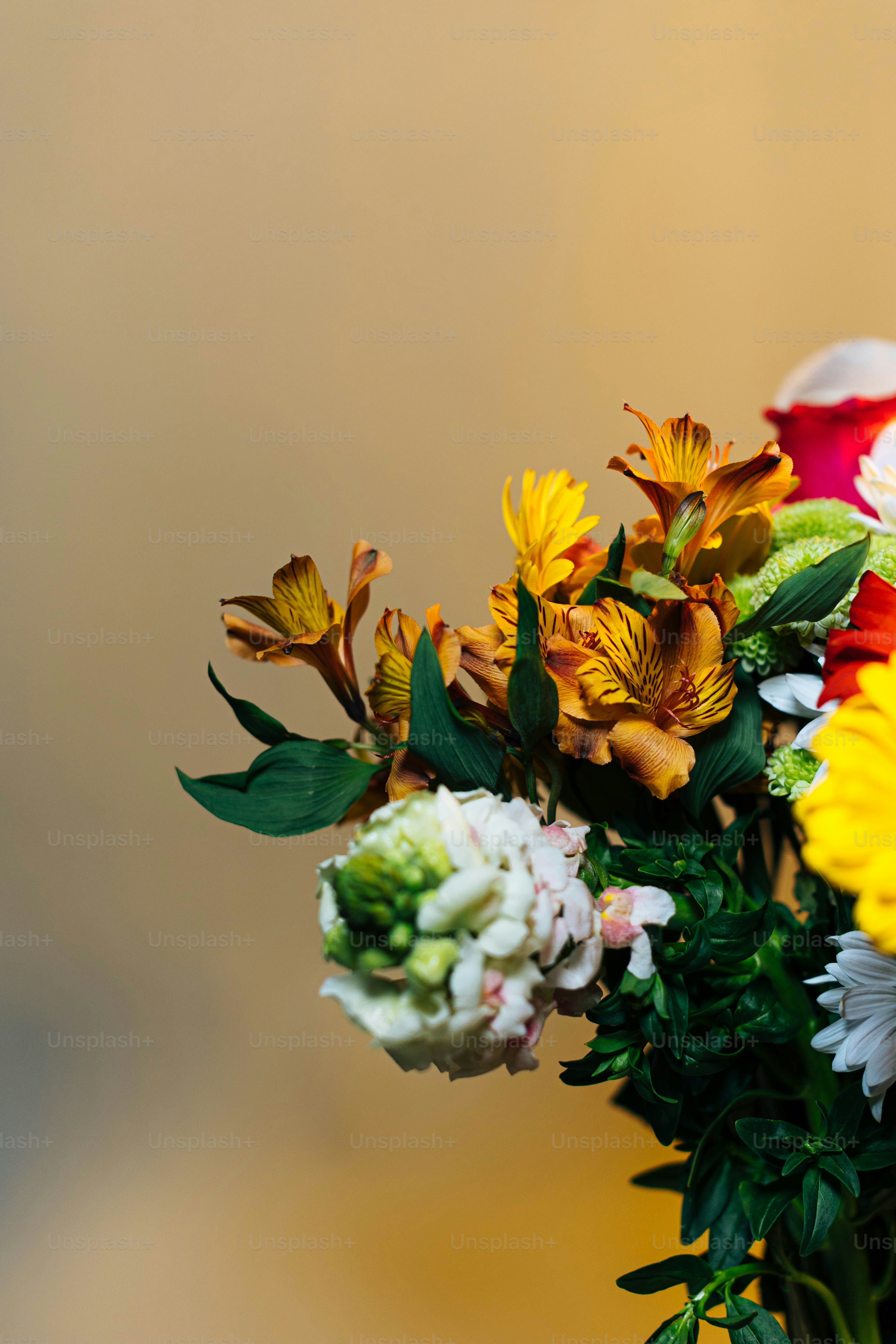 A vase filled with lots of different colored flowers photo – Wallpaper ...