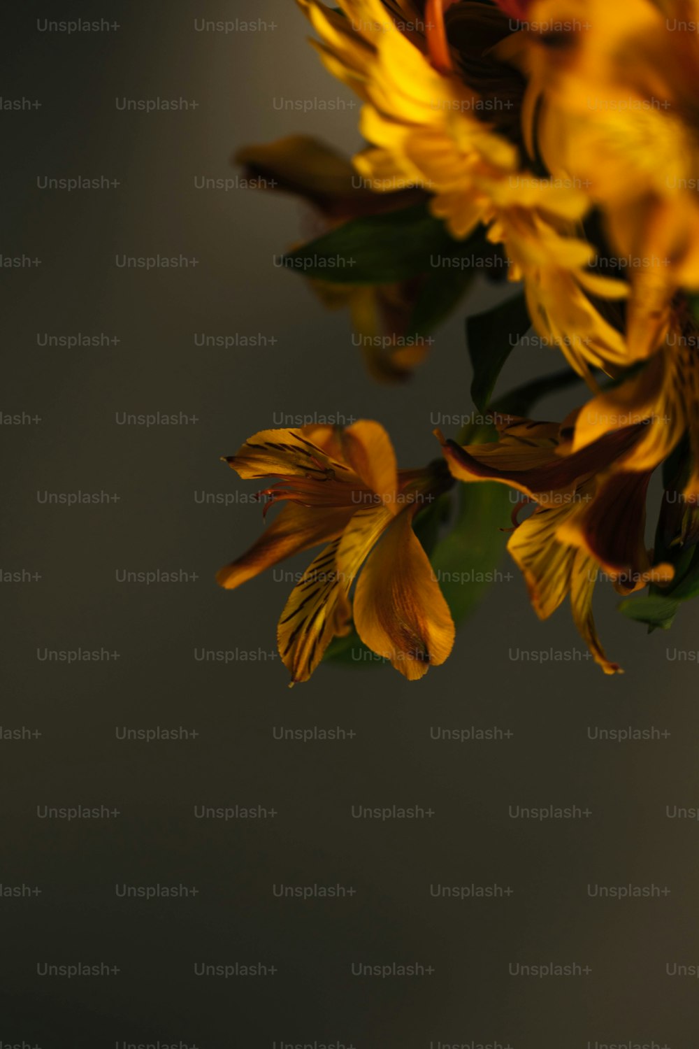 a vase filled with yellow flowers on top of a table