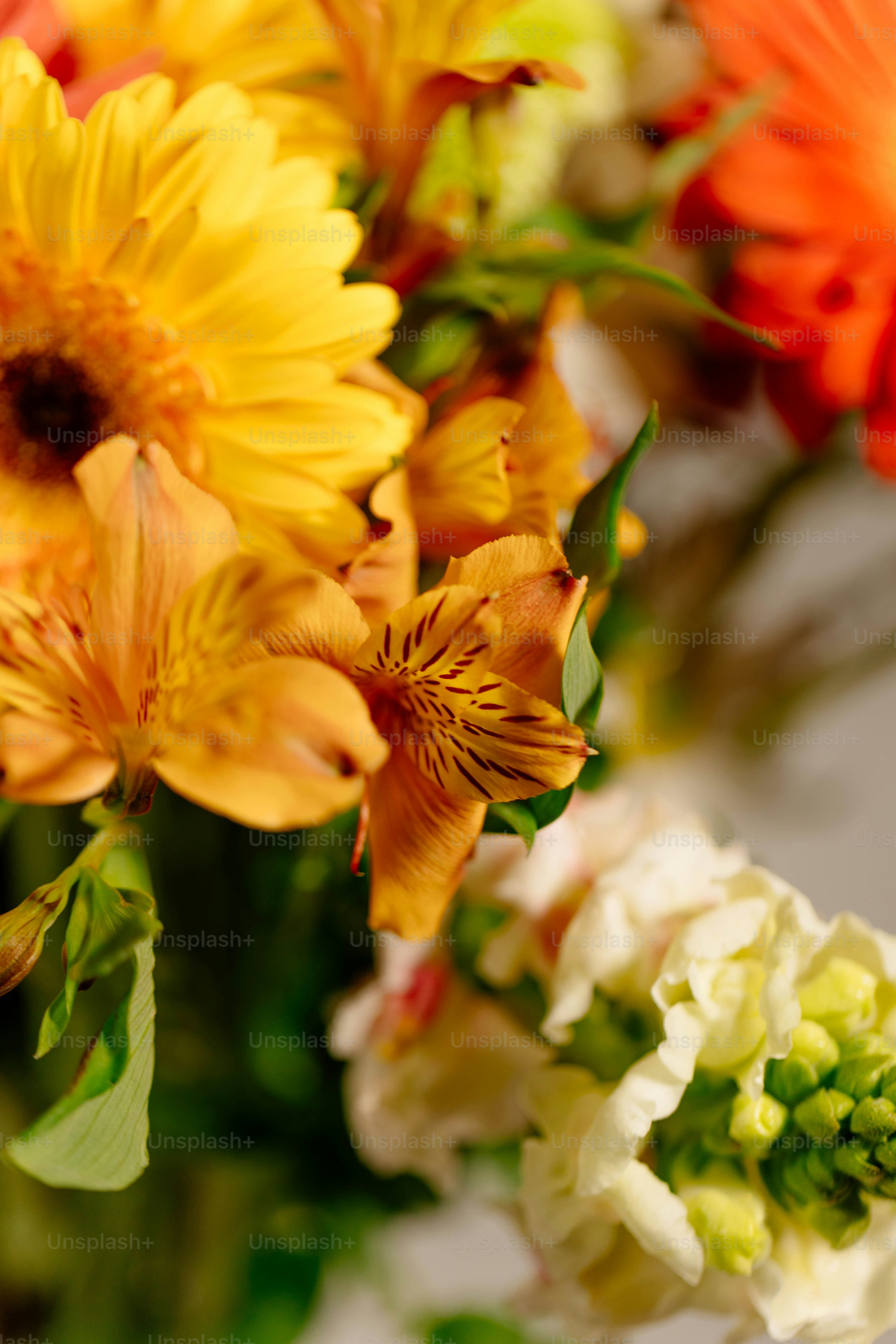 A vase filled with yellow flowers on top of a table photo – Flowers ...