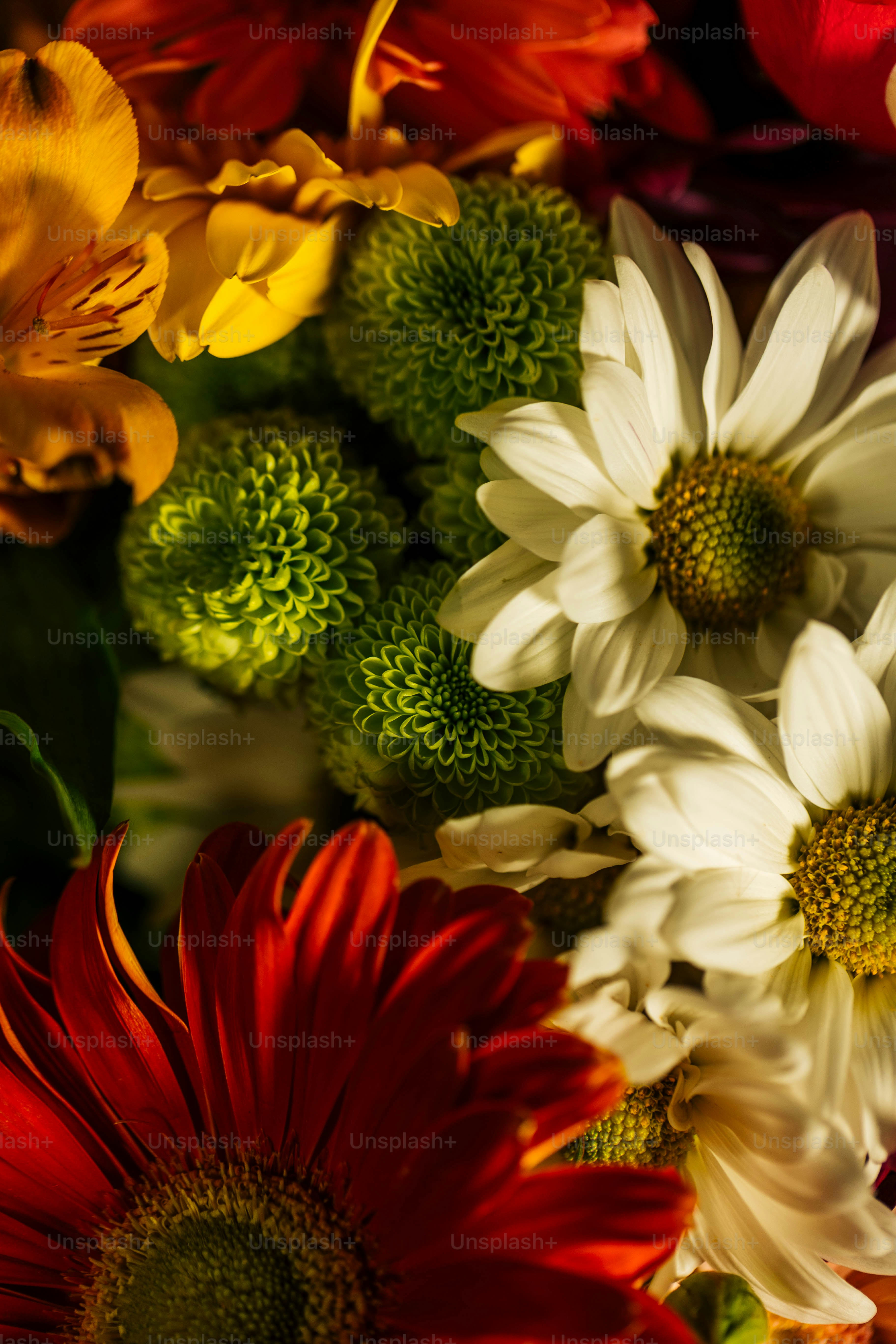 a close up of a bunch of flowers