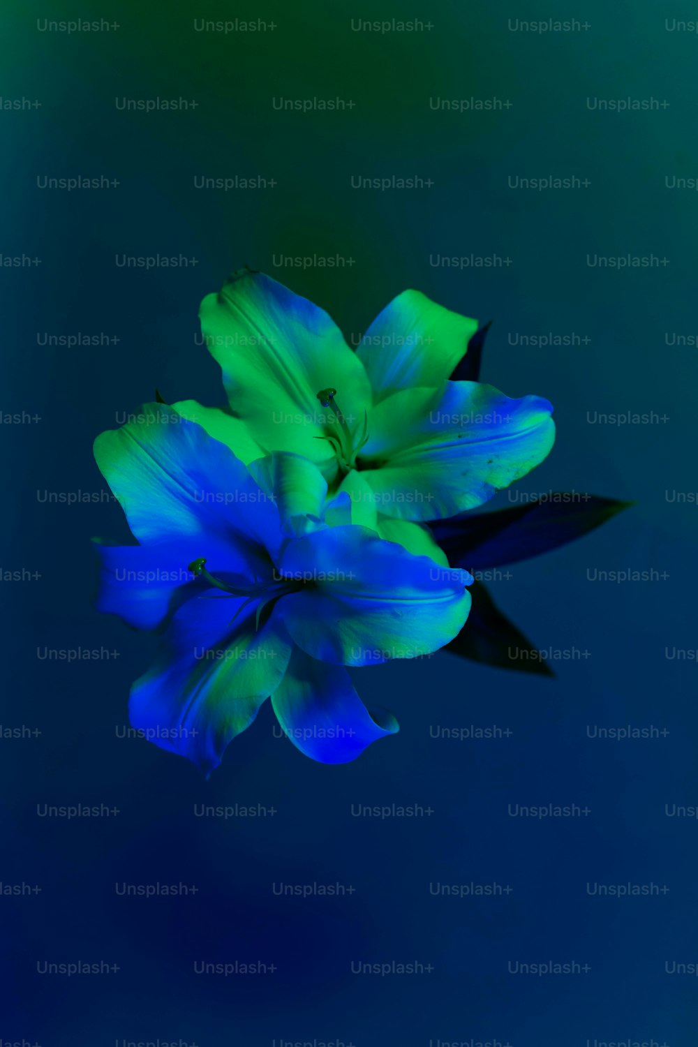 a blue flower with a green center on a blue background