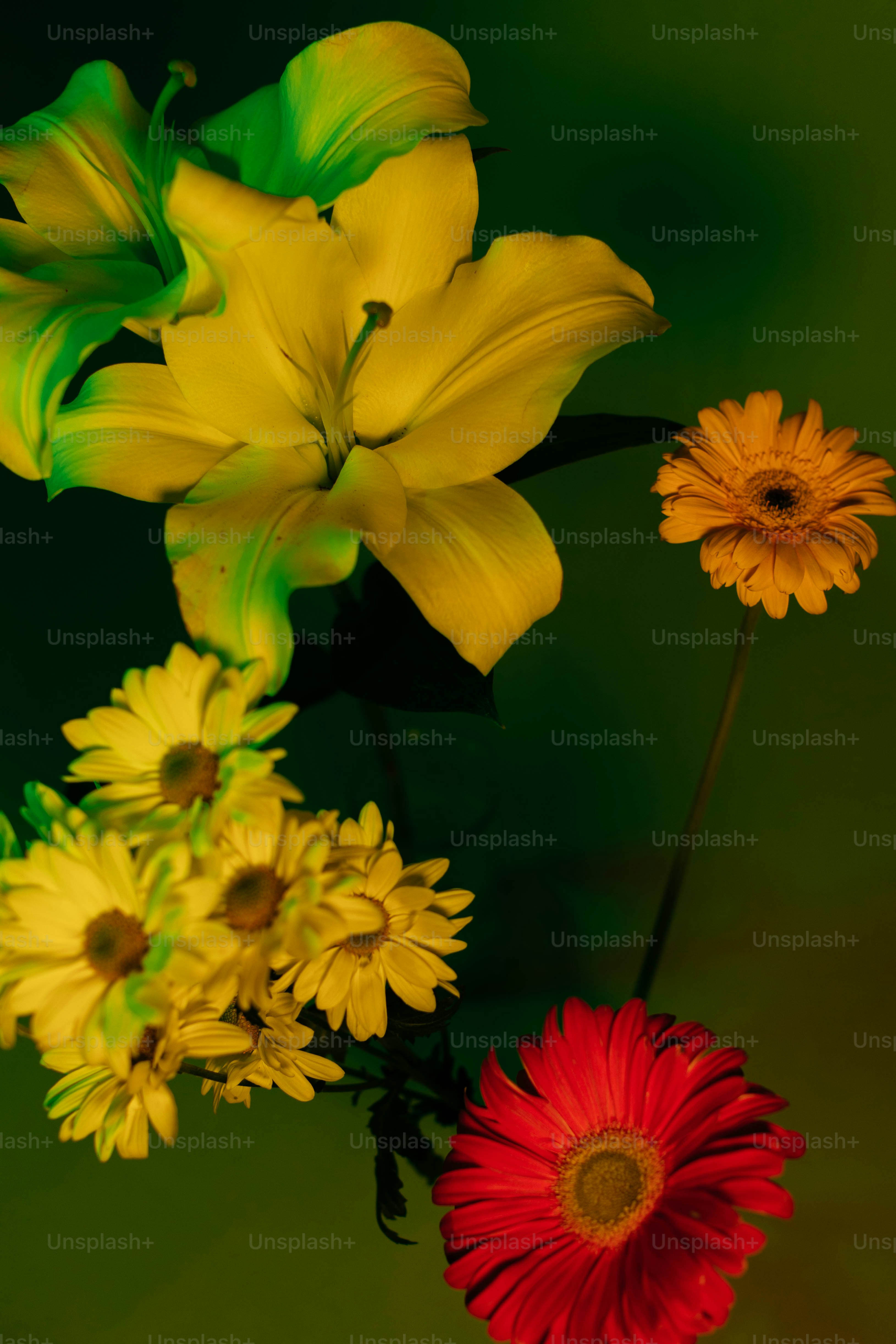 a vase filled with yellow and red flowers