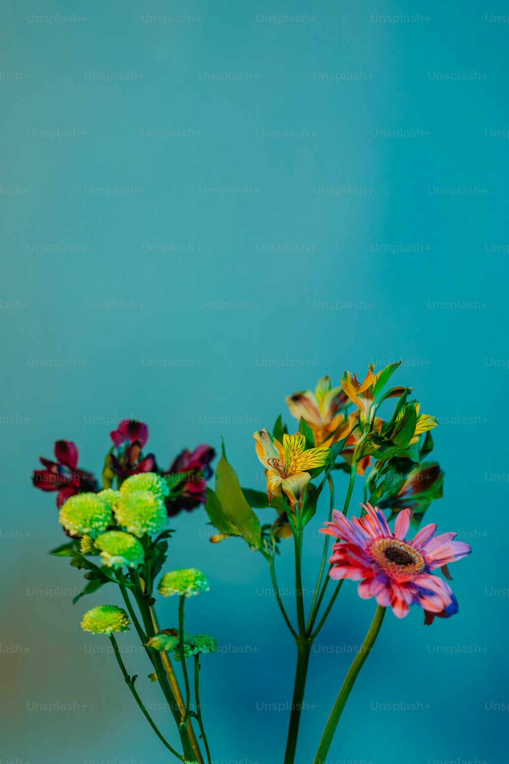 Un vase rempli de fleurs colorées sur une table