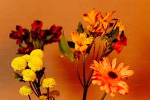 a couple of vases filled with different colored flowers