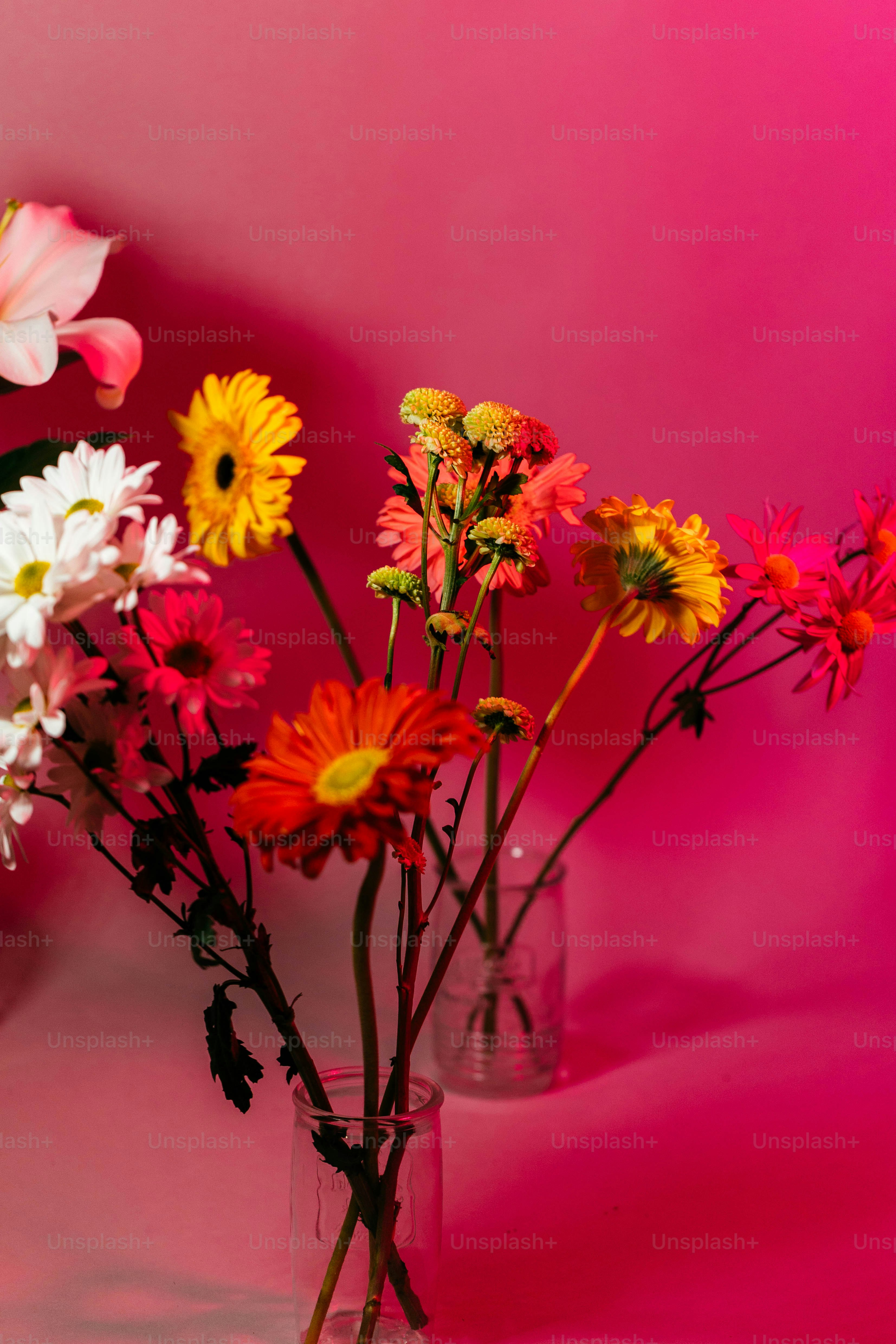 A vase filled with lots of different colored flowers photo – Floral ...