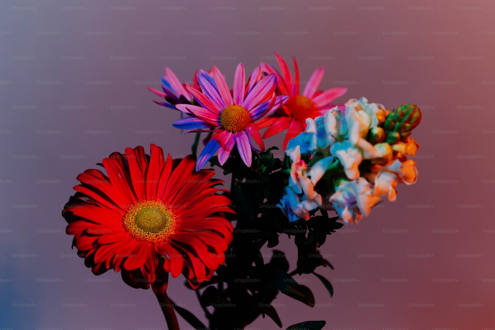 テーブルの上に色とりどりの花がいっぱい入った花瓶