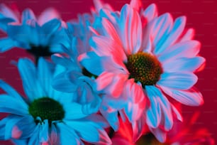 a bunch of blue and pink flowers in a vase
