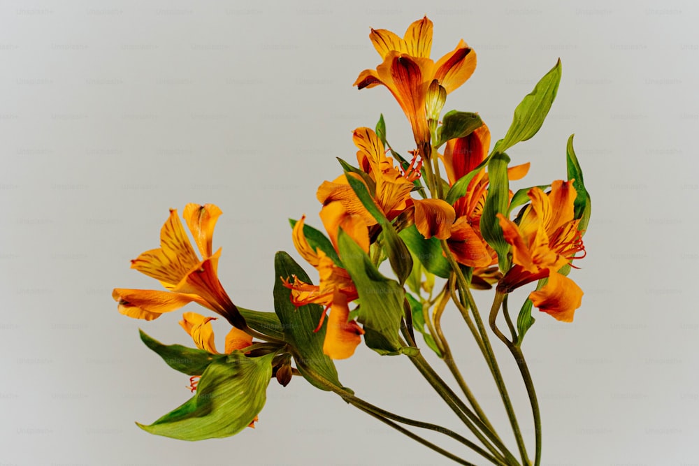 un mazzo di fiori d'arancio in un vaso