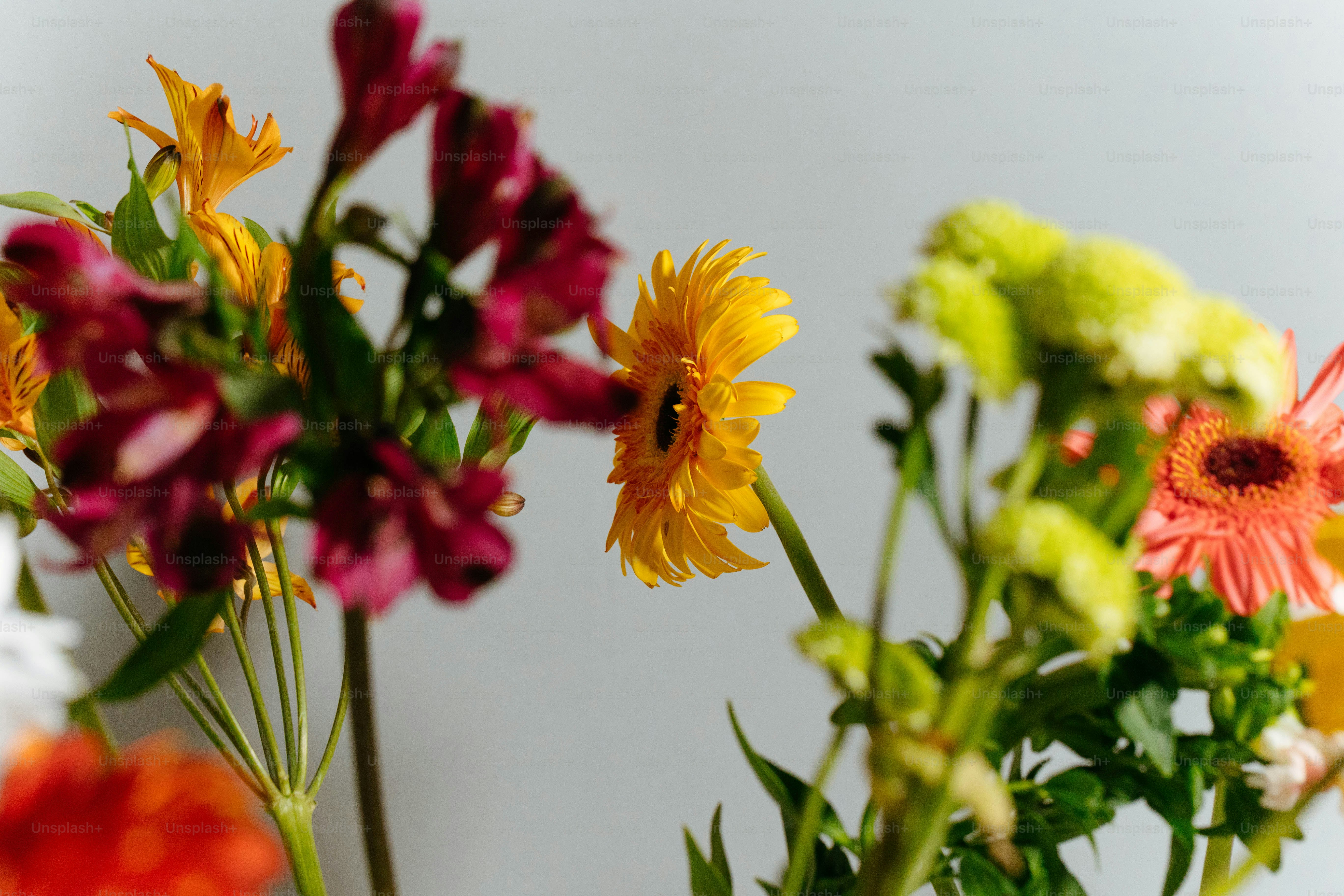 un bouquet de fleurs qui sont dans un vase