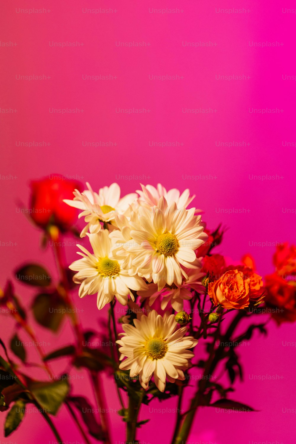 白と赤の花でいっぱいの花瓶
