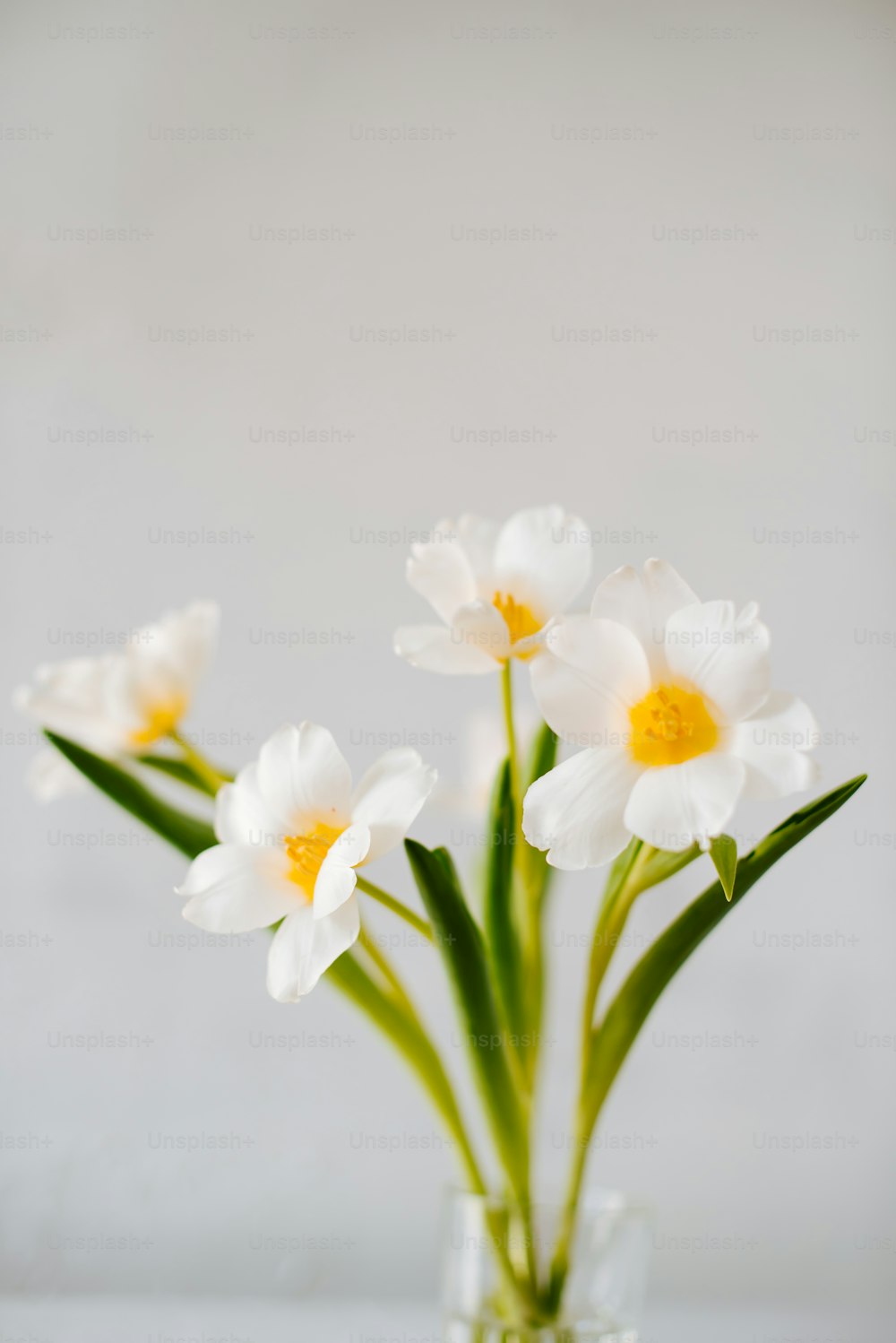 a vase filled with white flowers on top of a table