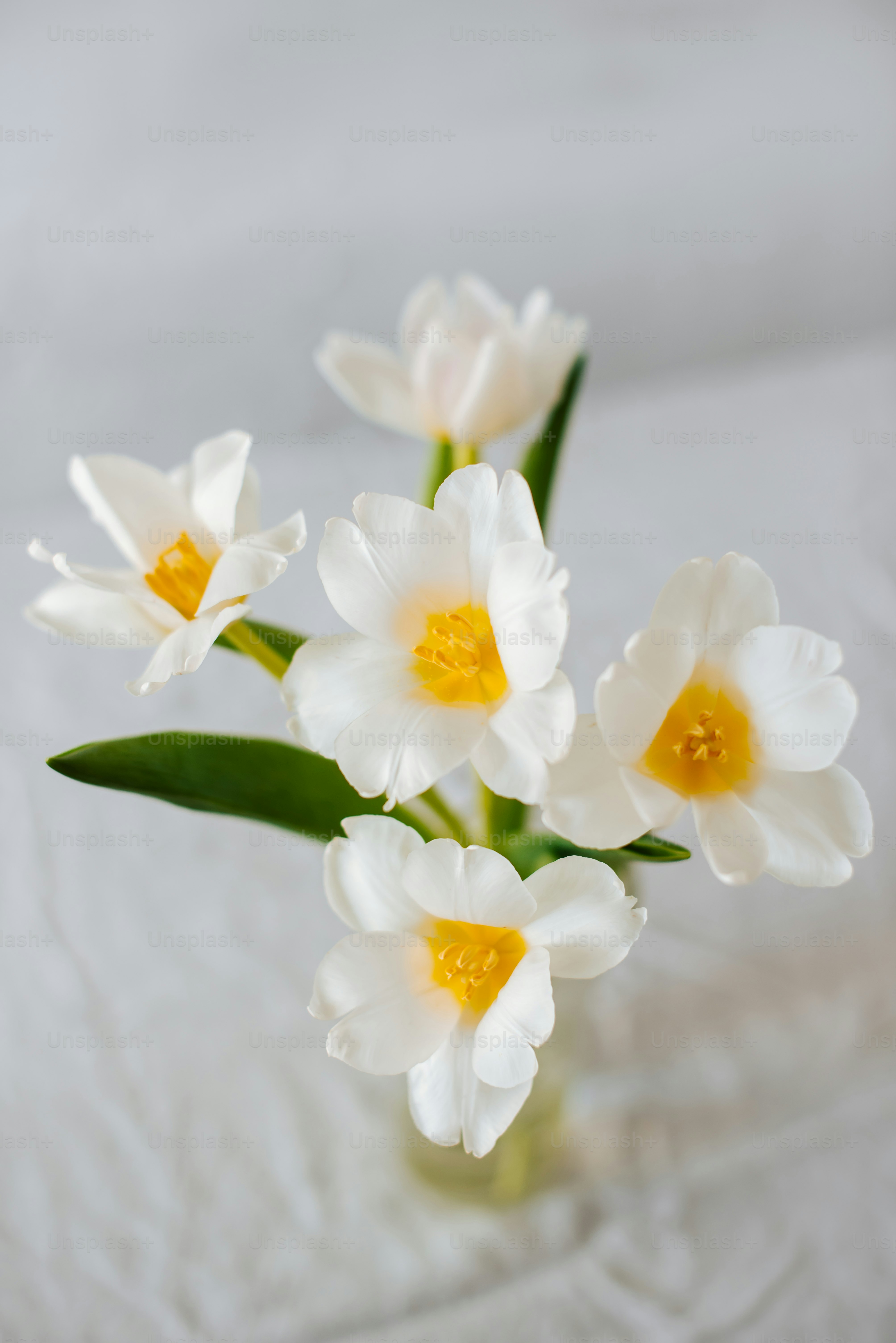Un jarrón lleno de flores blancas y amarillas