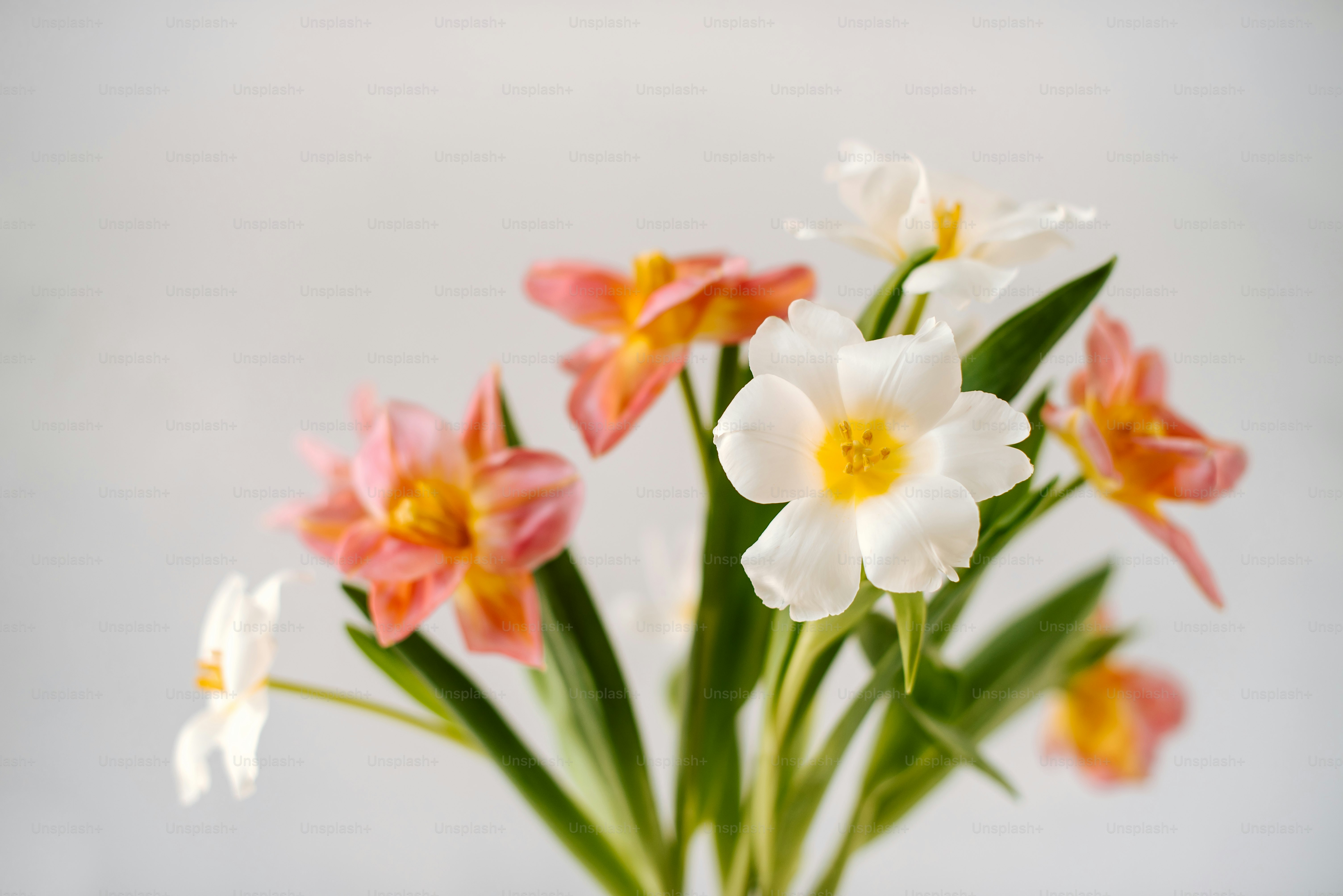 un vase rempli de fleurs blanches et roses