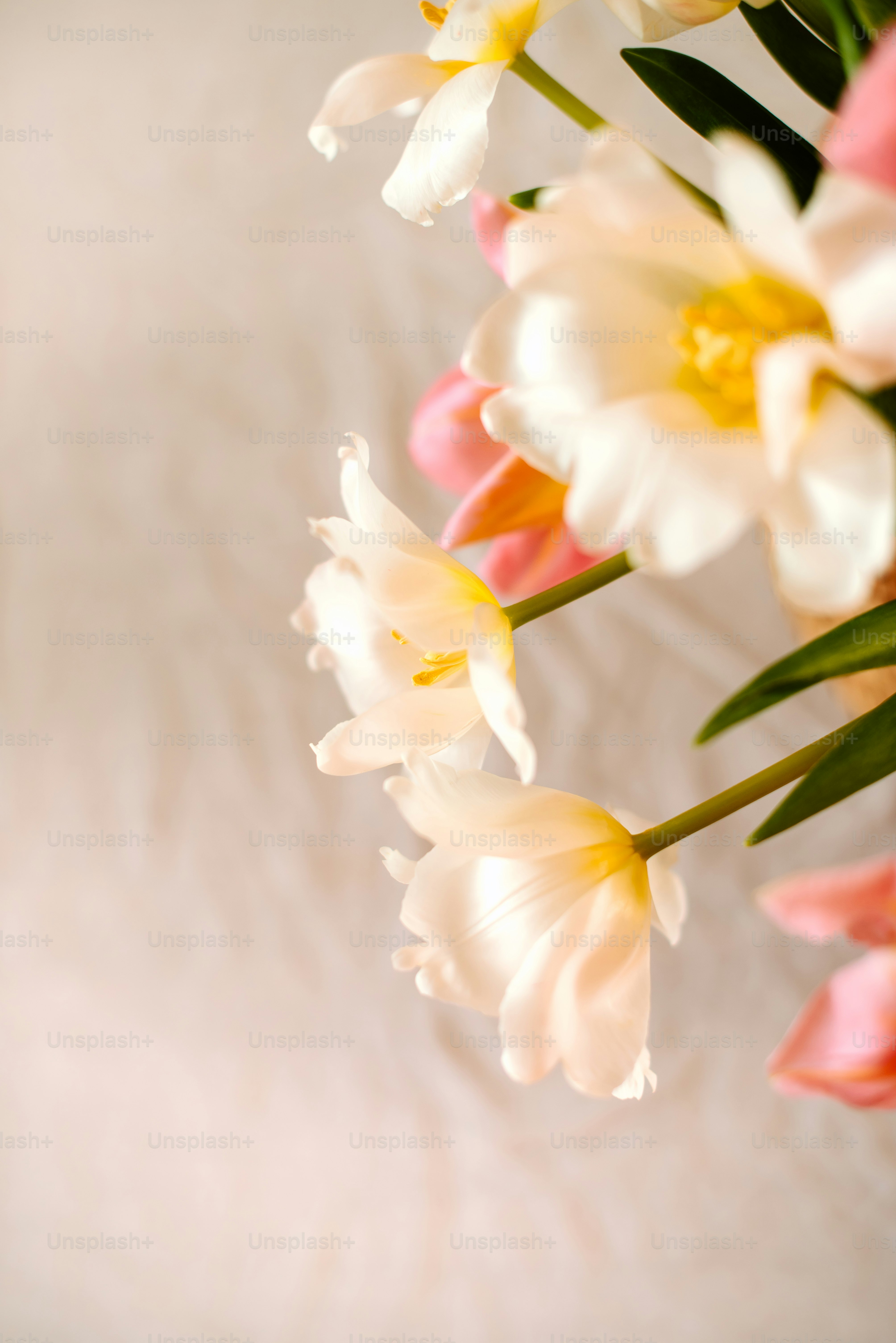 a bunch of flowers that are sitting on a table