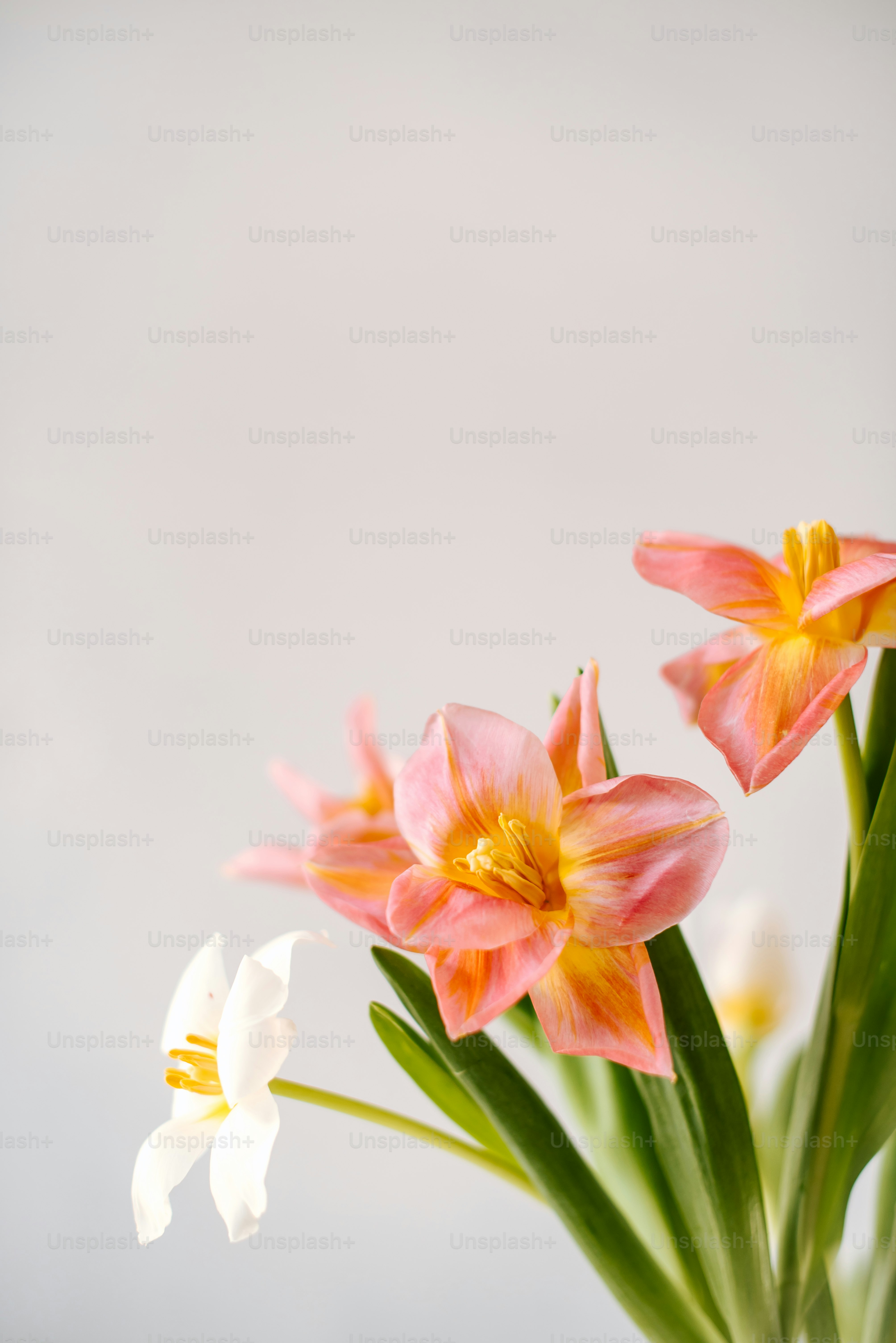 a close up of a vase with flowers in it