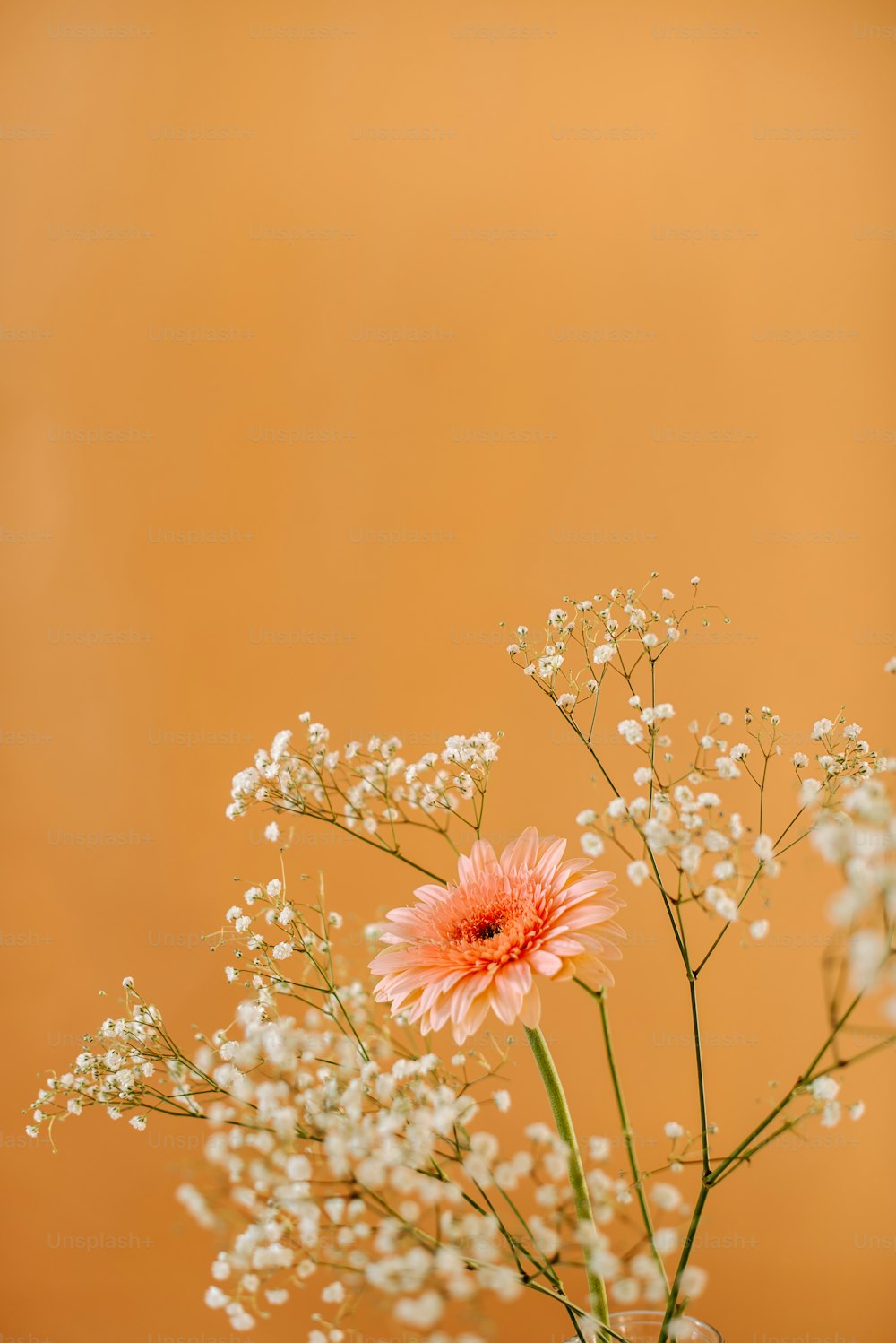 a vase filled with white and pink flowers