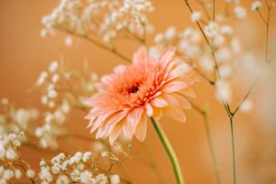 a close up of a vase with flowers in it