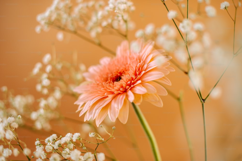 a close up of a vase with flowers in it