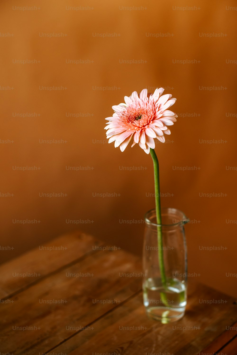 Una flor rosa en un jarrón sobre una mesa