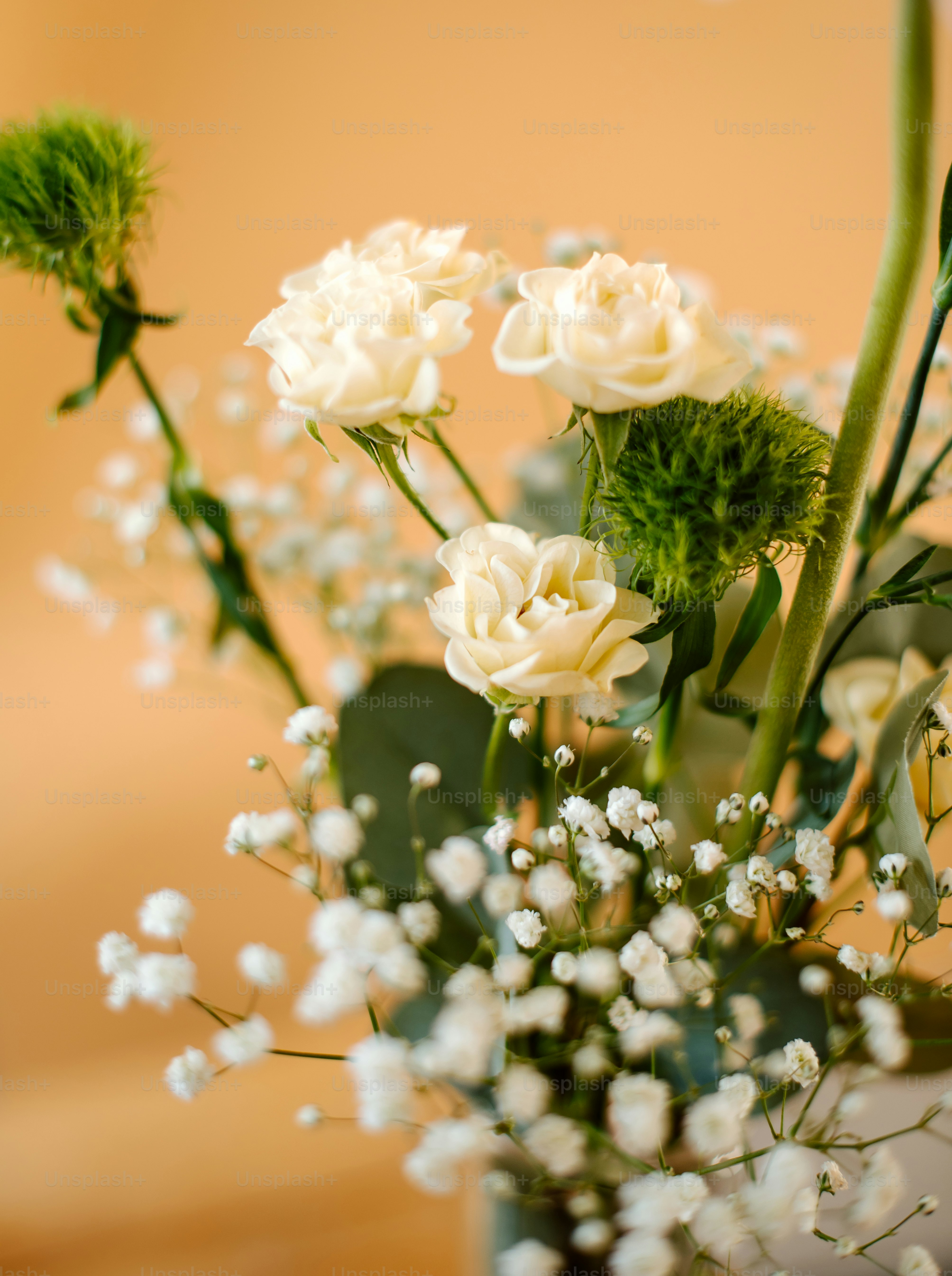 A vase filled with white flowers on top of a table photo – Flowers ...