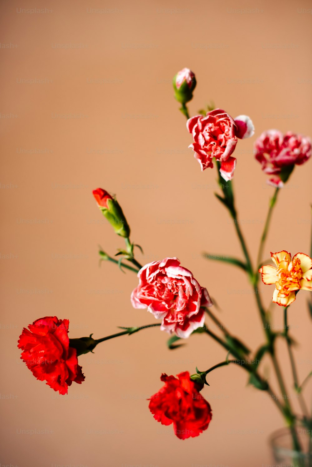 a bunch of flowers that are in a vase