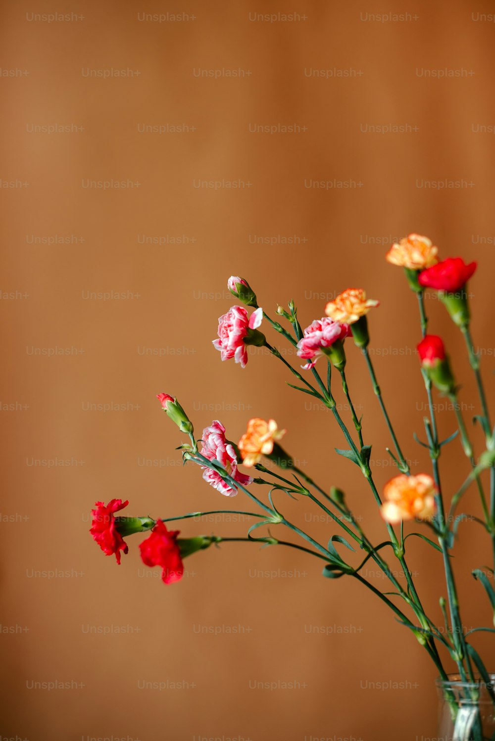 Un vase avec une fleur et deux bouteilles d'huiles essentielles sur une  table photo – Photo Brun Gratuite sur Unsplash