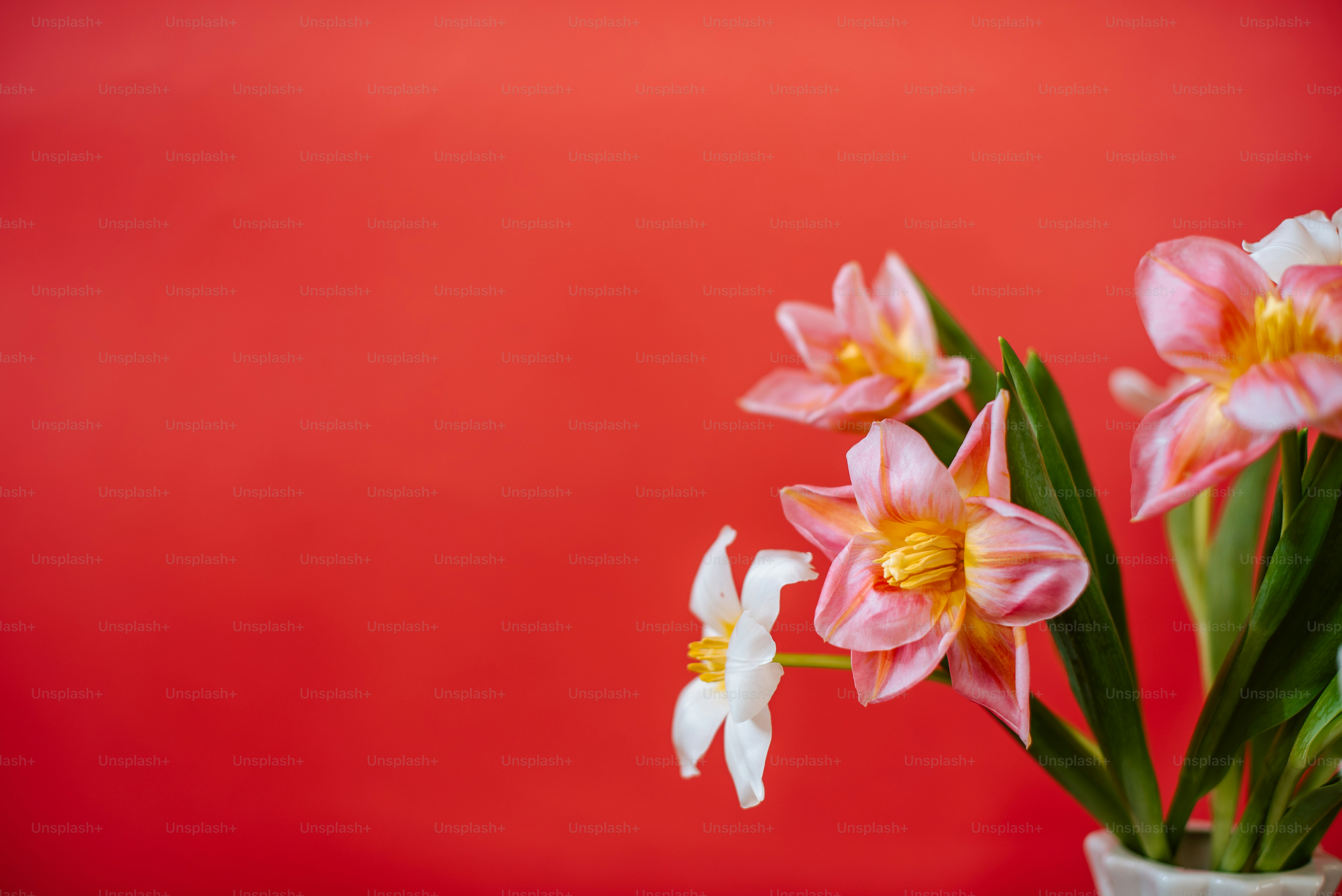 un vase rempli de fleurs roses et blanches