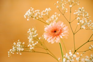 a close up of a vase with flowers in it